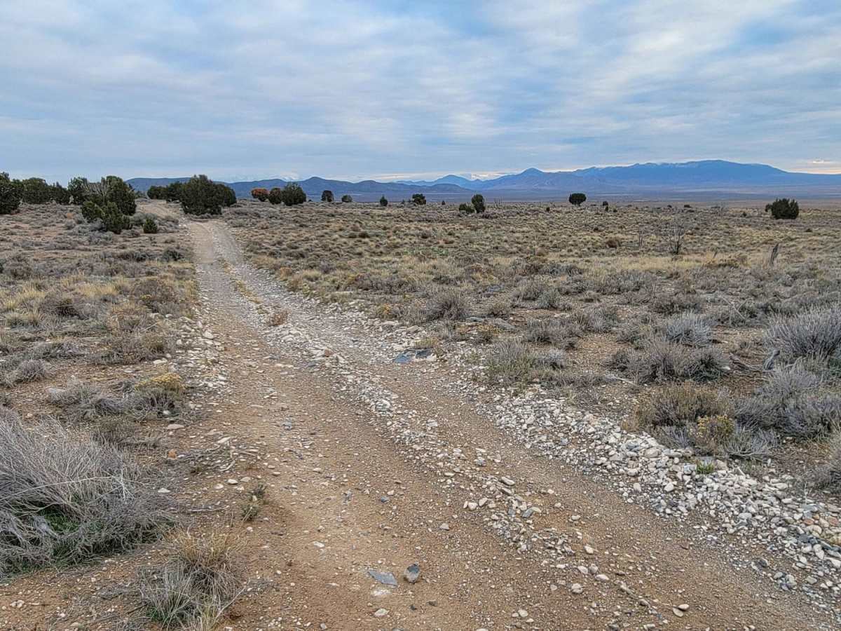 Pack Trail 2 trail photo