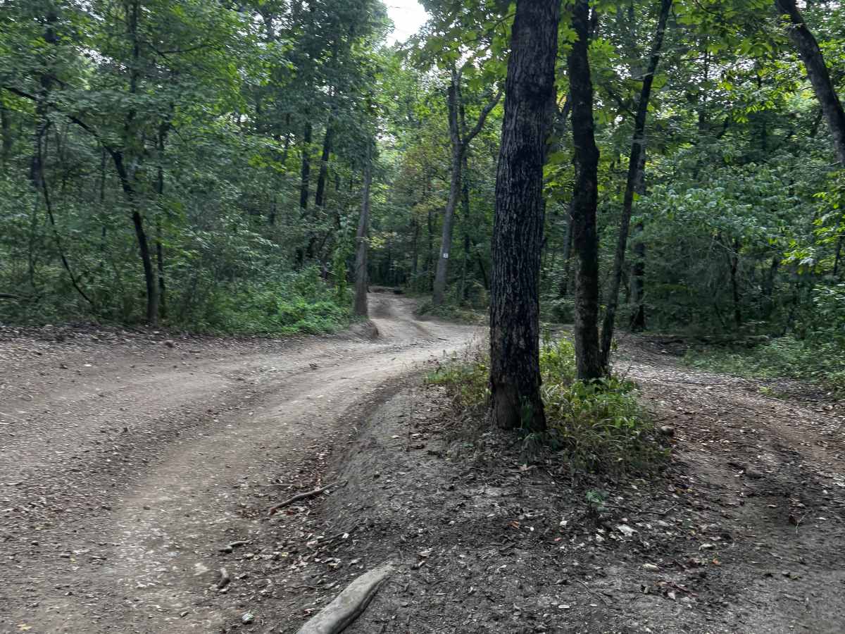 1/2 Trail photo 2