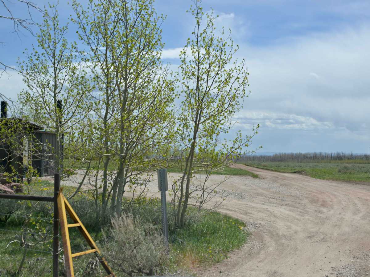 Range Study Loop - FS 10217 photo 2