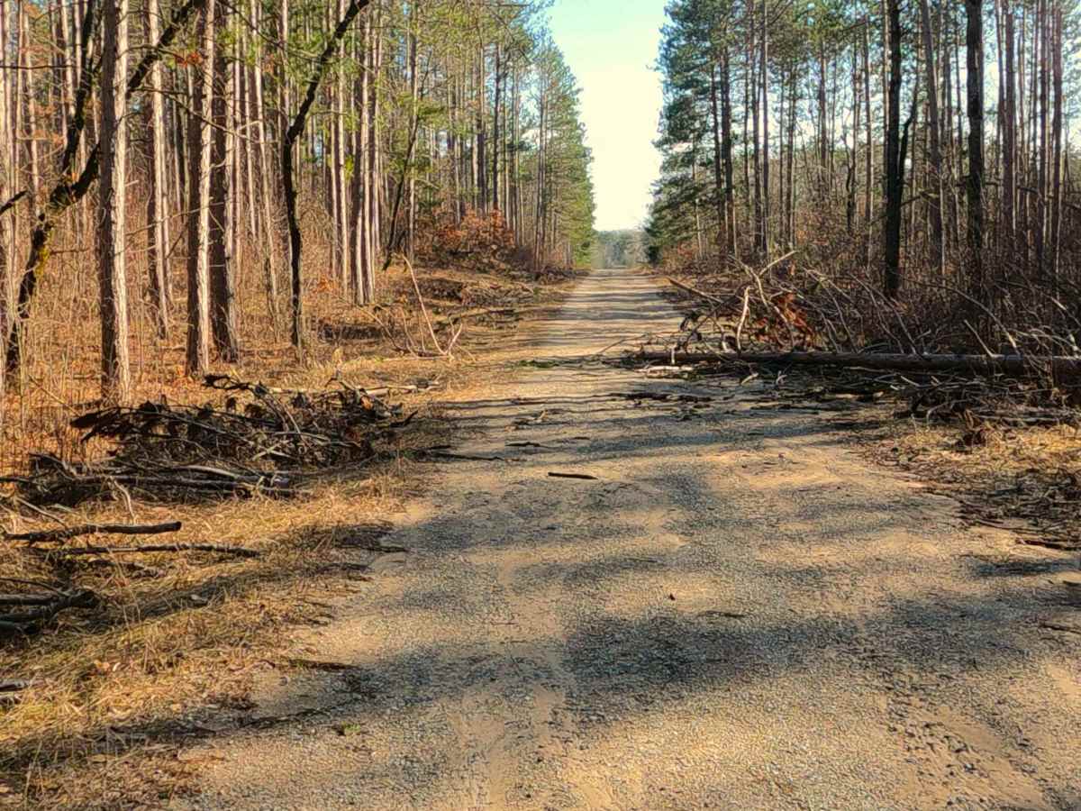 Summers Road - FS 4451 photo 4