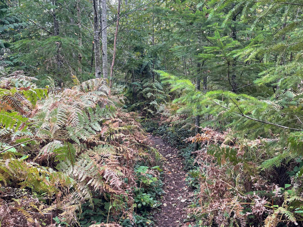 Dragon's Lair photo 6