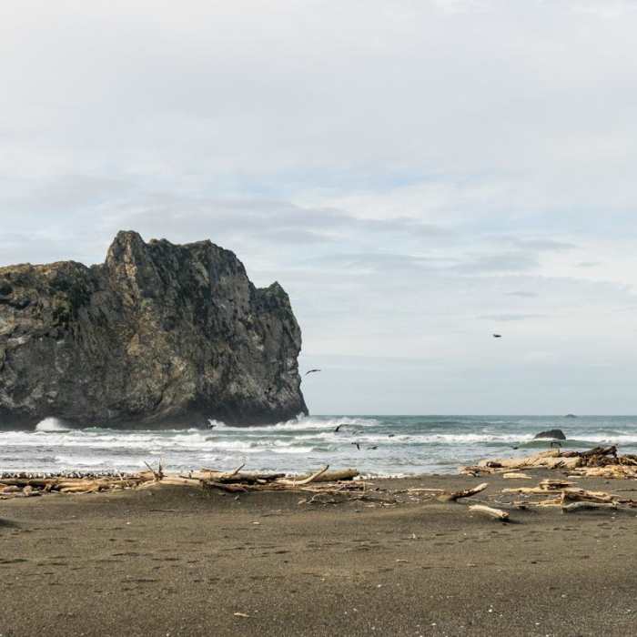 Near River Trail Hike