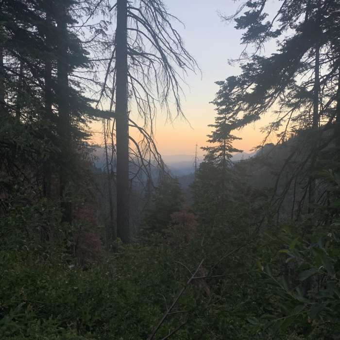 Near Crescent Meadow to Kaweah Gap