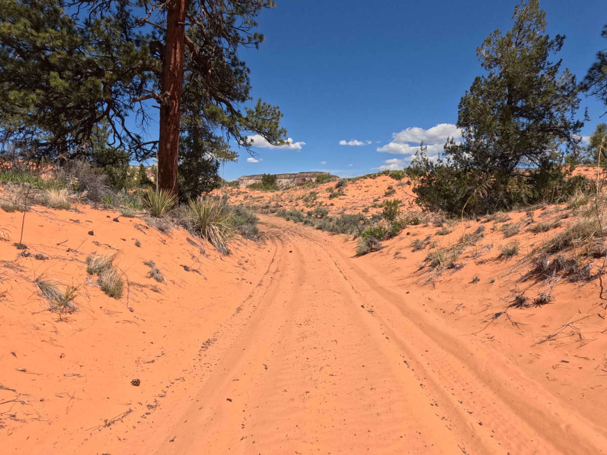 BLM 106A trail photo