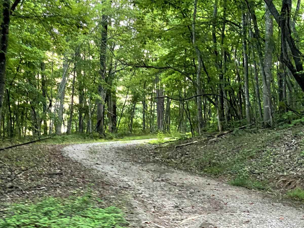 Price Mountain photo 3