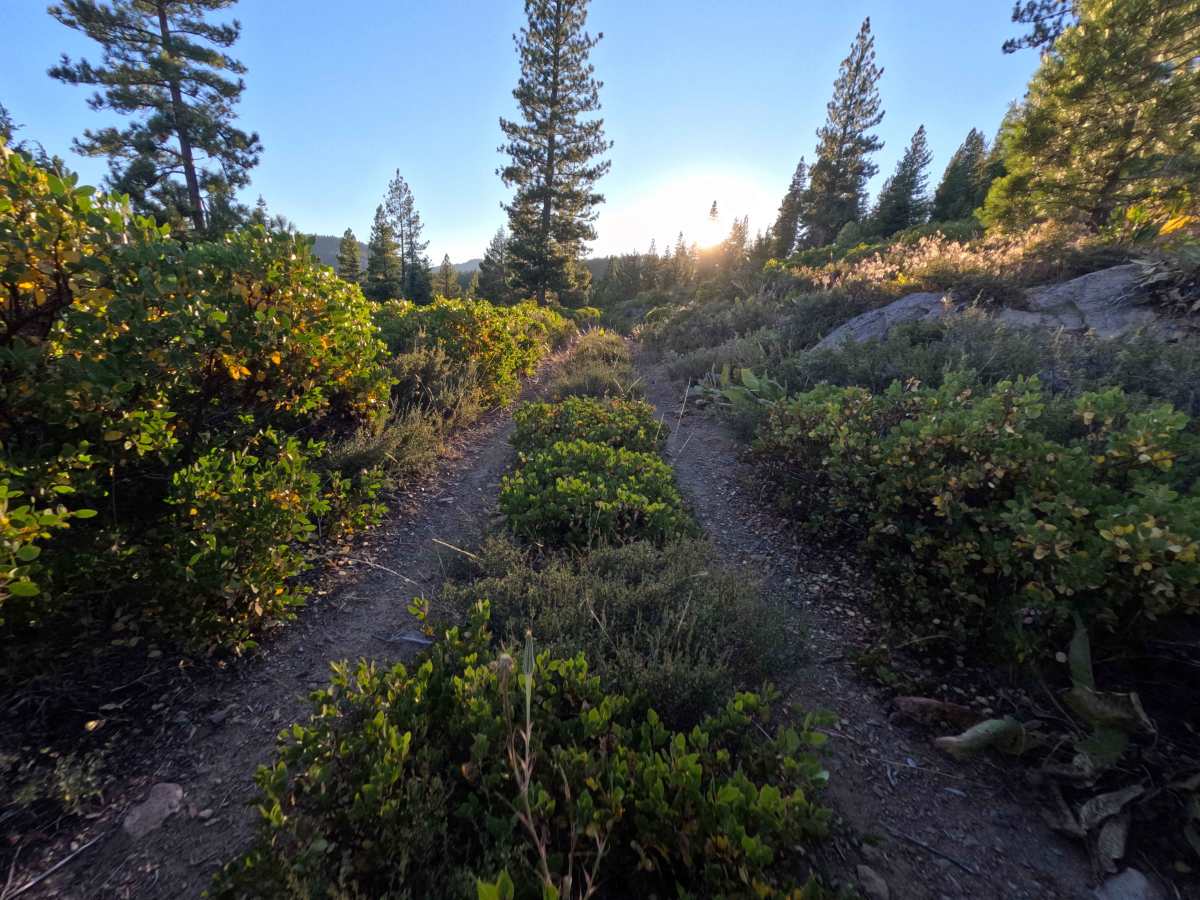 Wheeler Tie Spur - FS 0450-005-15B trail photo