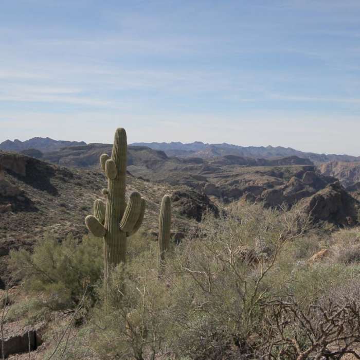 Near Black Cross Butte Hike Near Black Cross Butte Hike