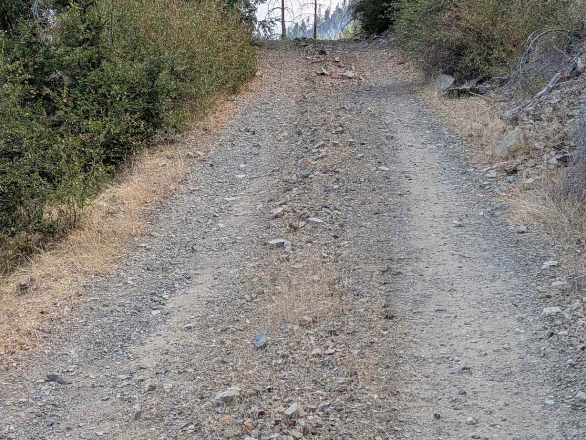 Little Creek Road - FS 32N16  photo 4
