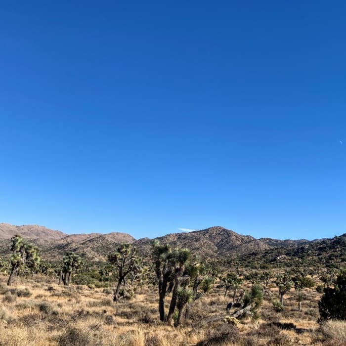 Near Warren Peak + Panorama Loop
