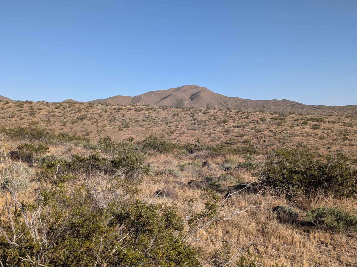BLM EP499 photo 6