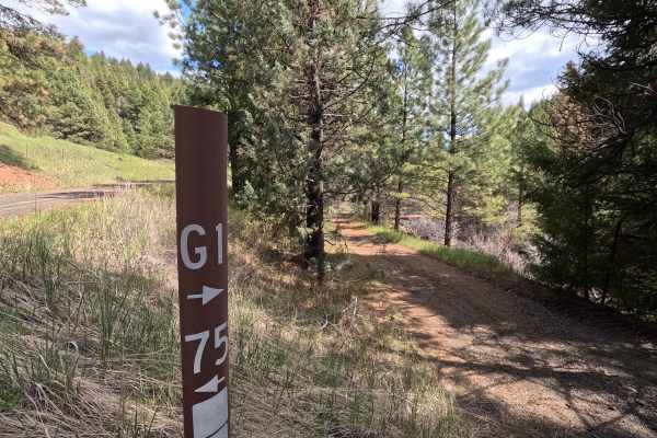 Trail G1