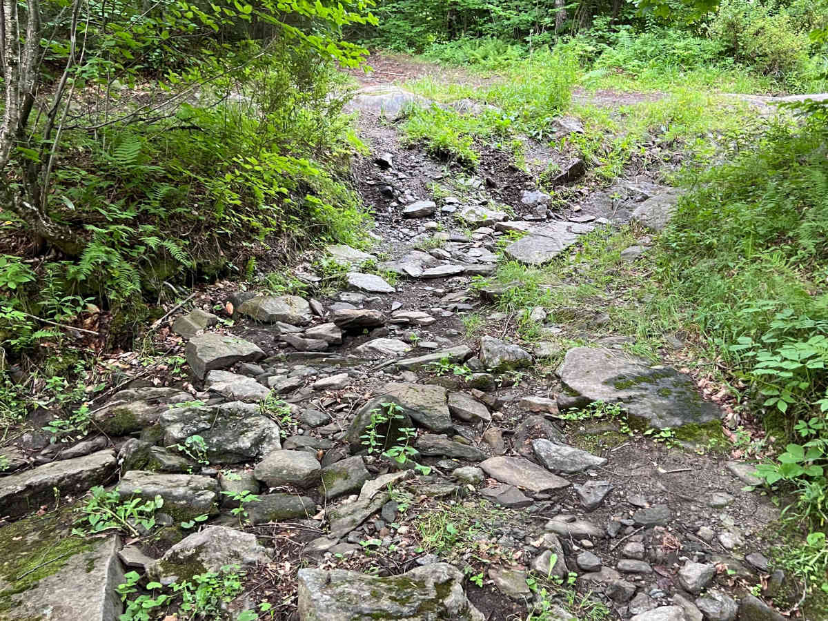 Turnpike Road photo 3