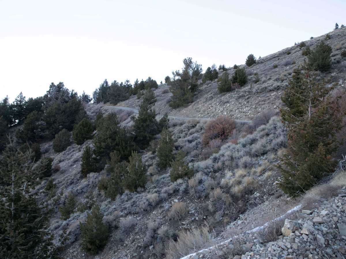 Bull Creek Pass Road photo 4
