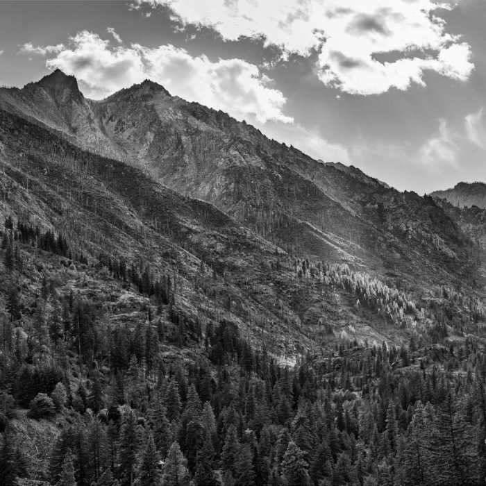 Near Chatter Creek Trail #1580