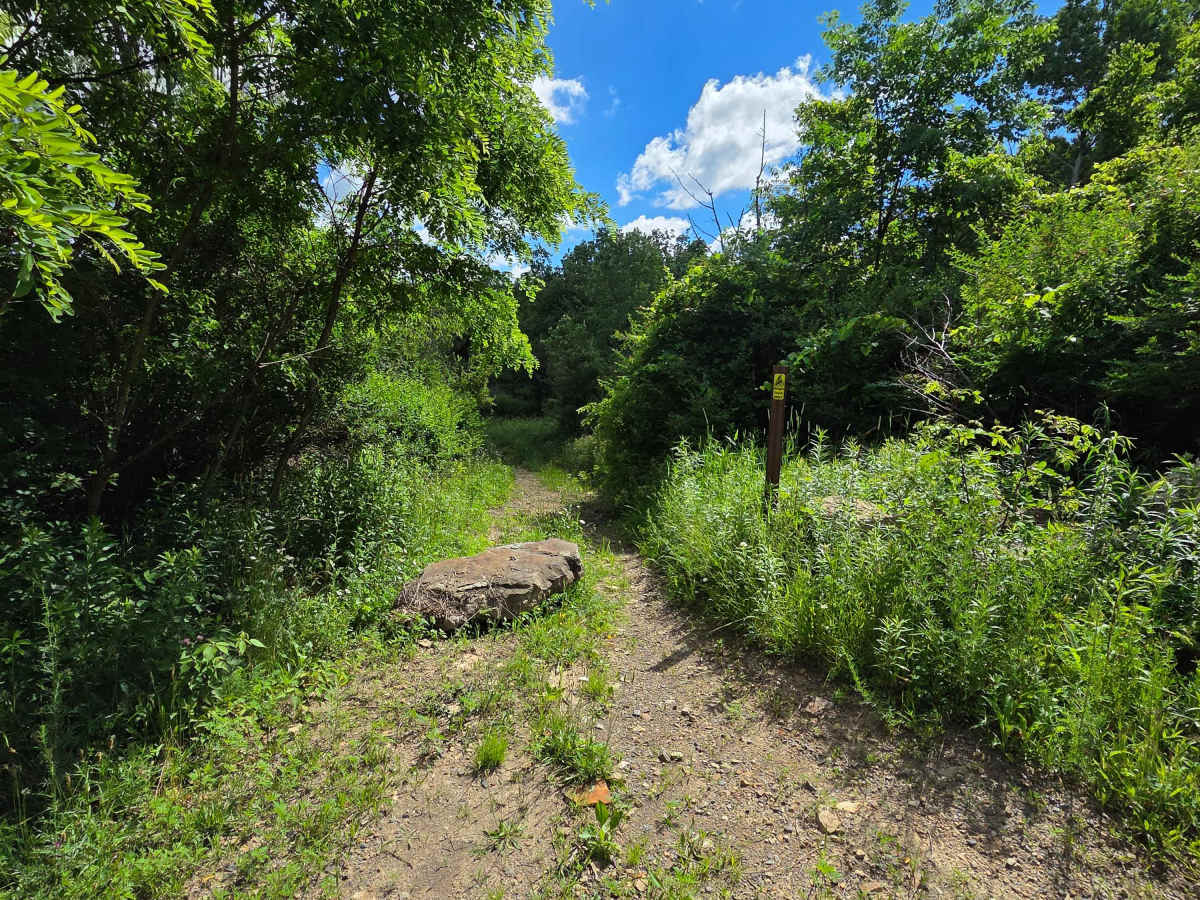Single Track I photo 2