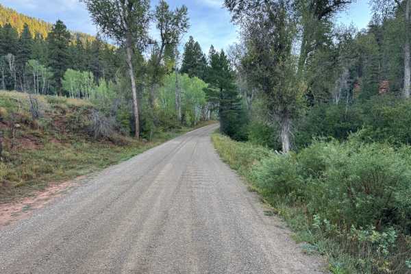 Taylor Creek Road