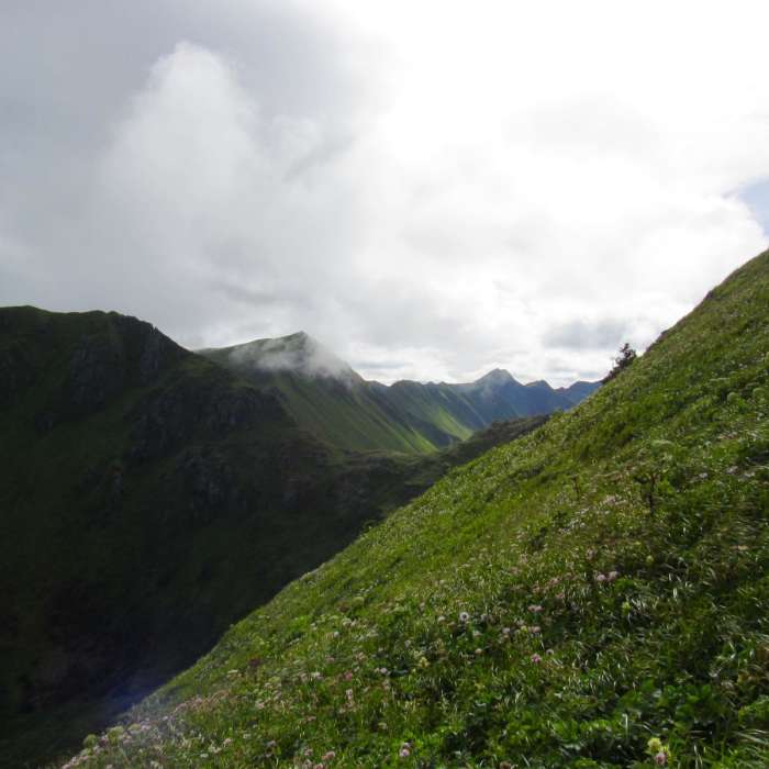 Near North Sister Mountain
