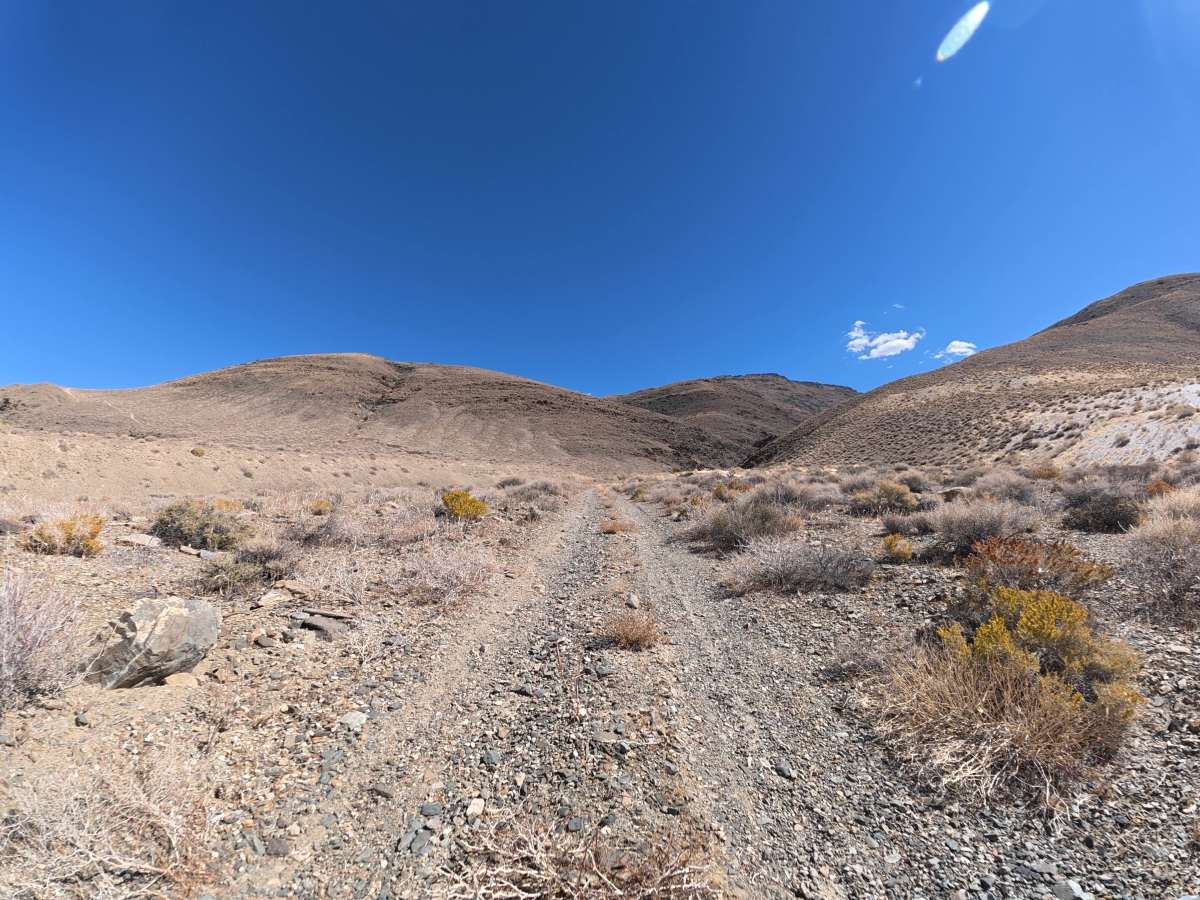 FS 33E313 trail photo