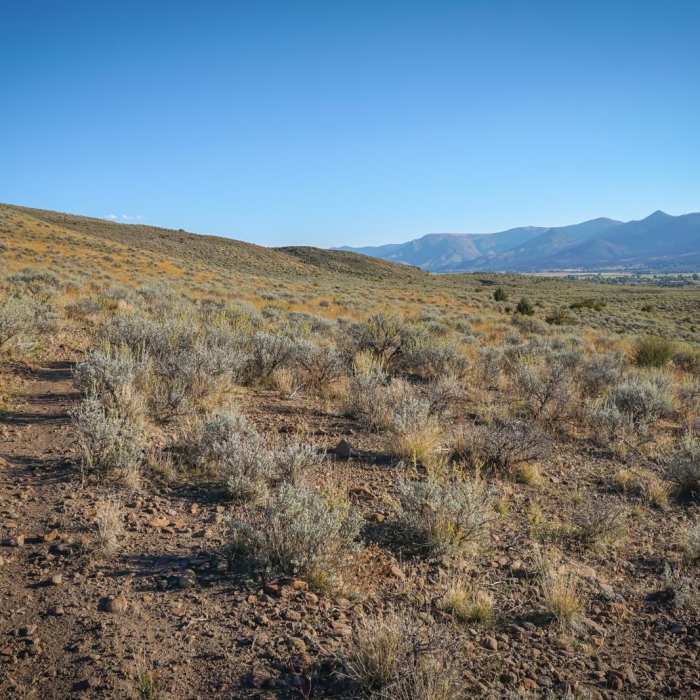 Near Bald Mountain Loops