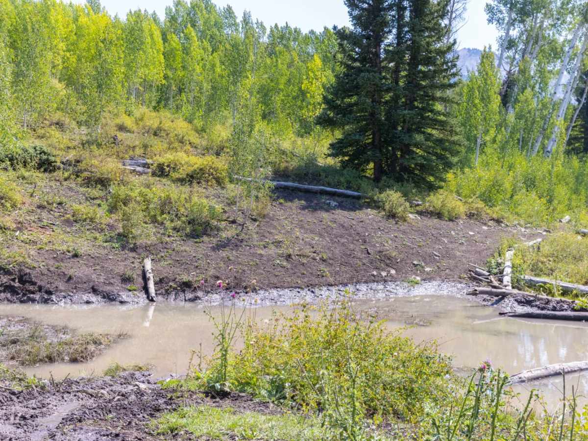 Julius Pasture-South Fork Road photo 4