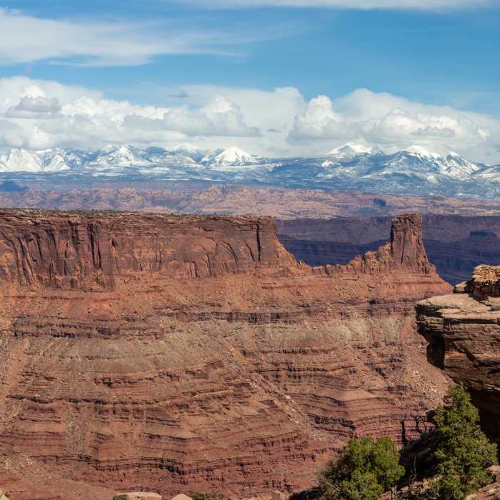 Near Colorado River Overlook Trail
