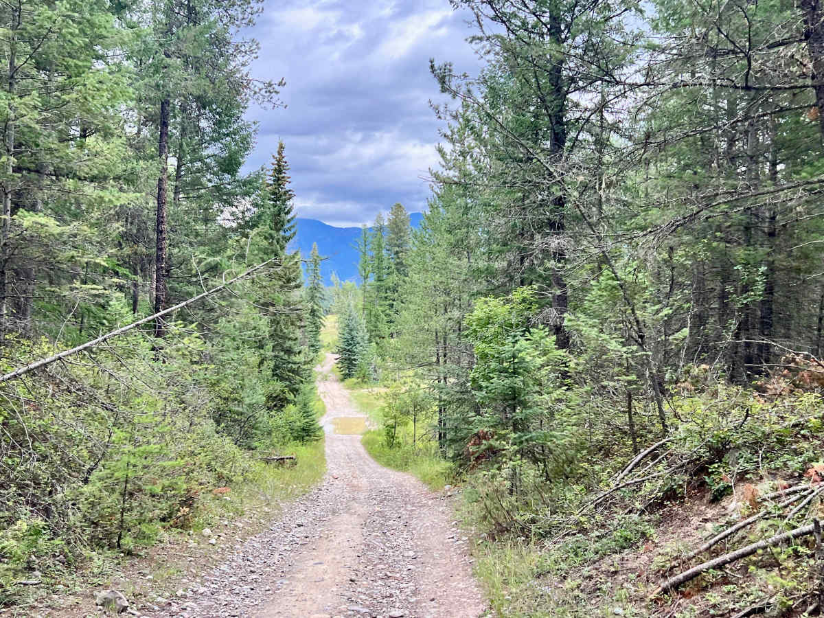 Out Of Jaffray trail photo