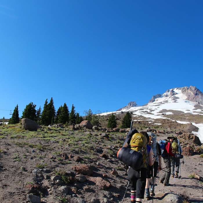 Near Mountaineer Loop Trail #798
