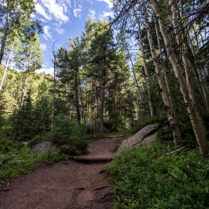 Near Devil's Head Lookout