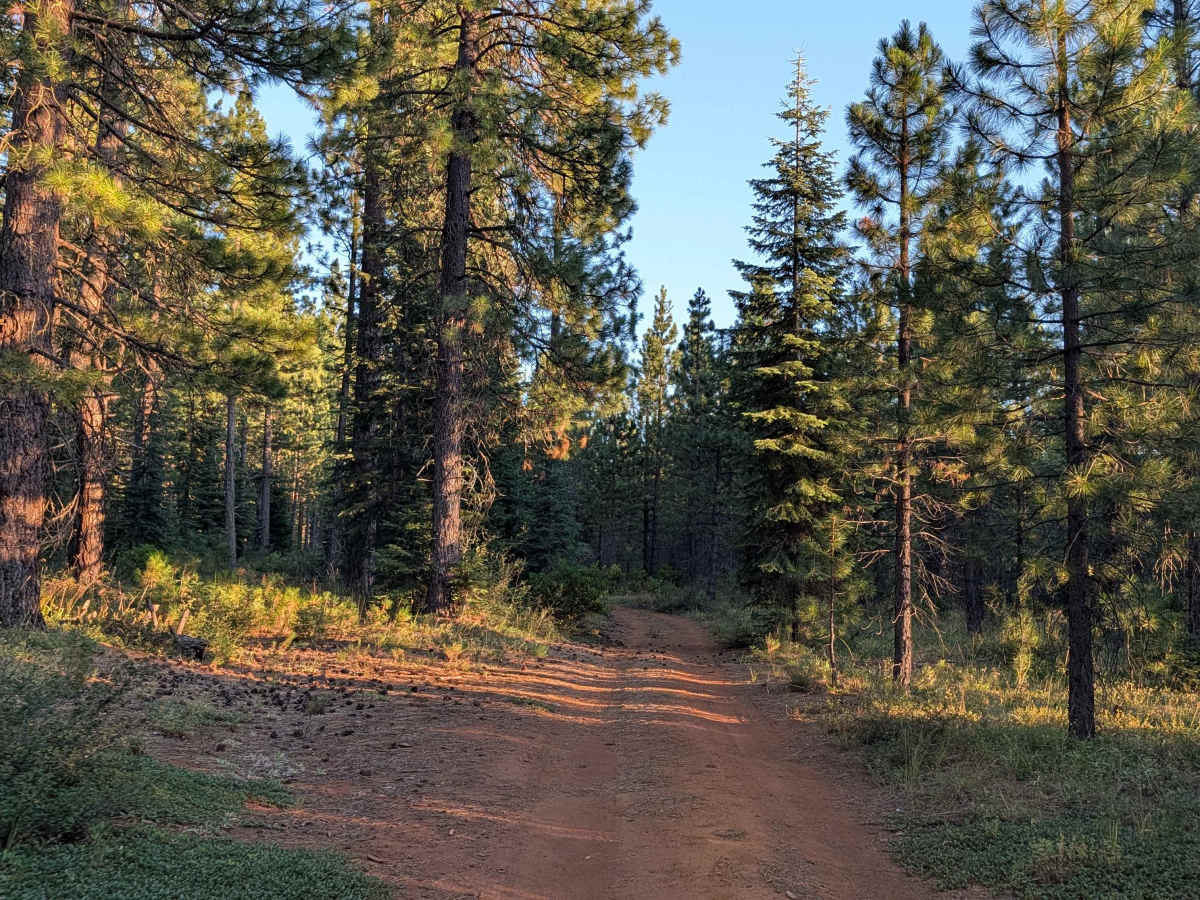 White Deer Lake East - FS 40N07A photo 3