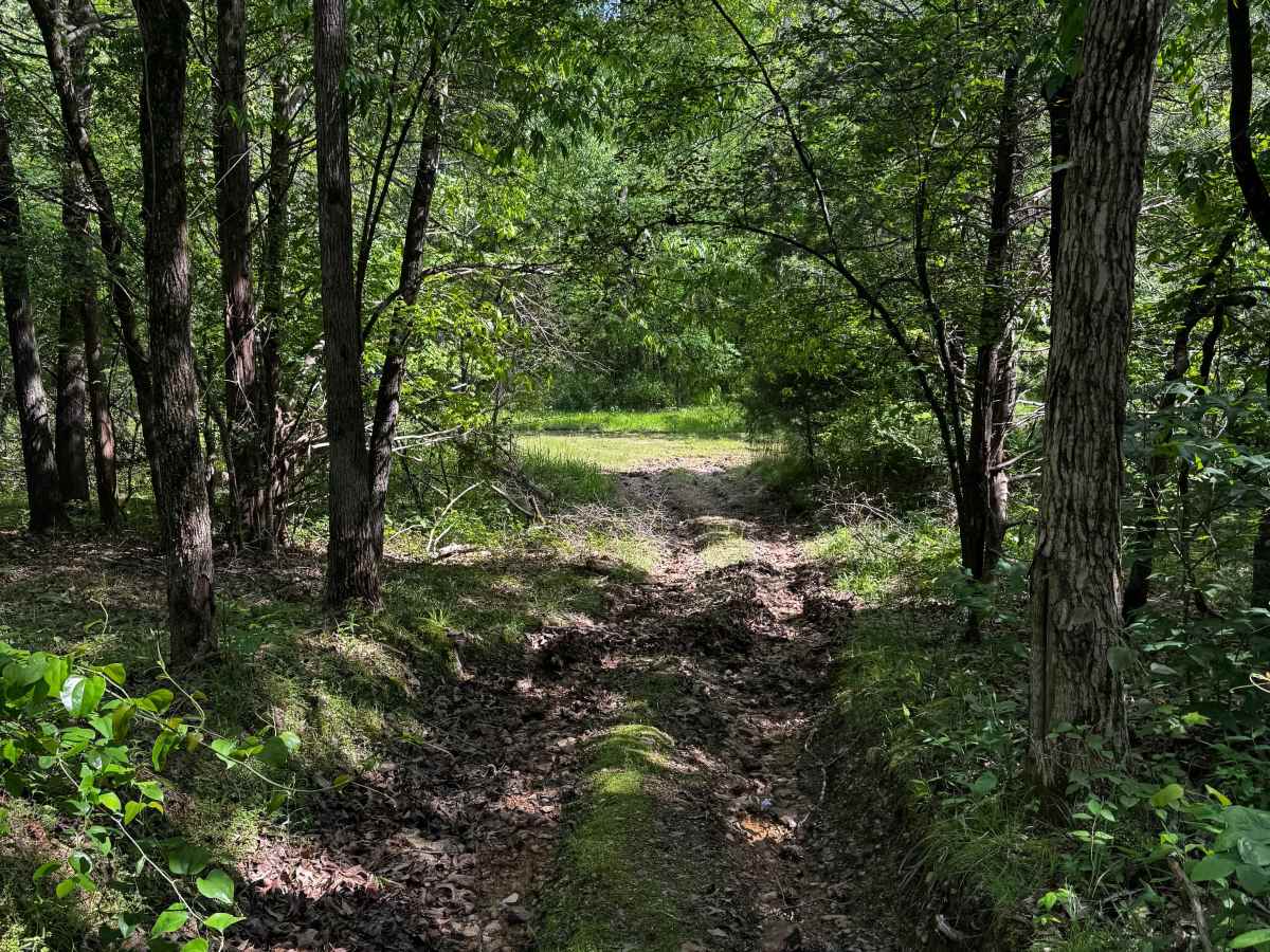Landing Strip  trail photo