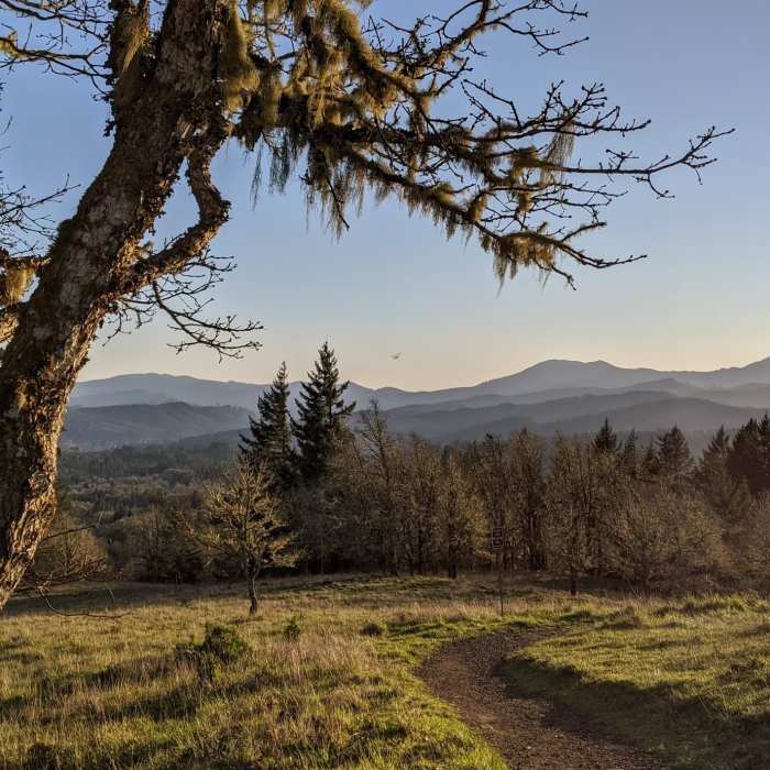 Near Bald Hill to Cardwell Hill