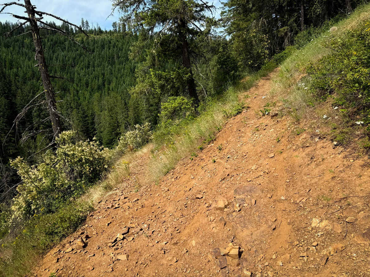 Steep Creek  photo 3