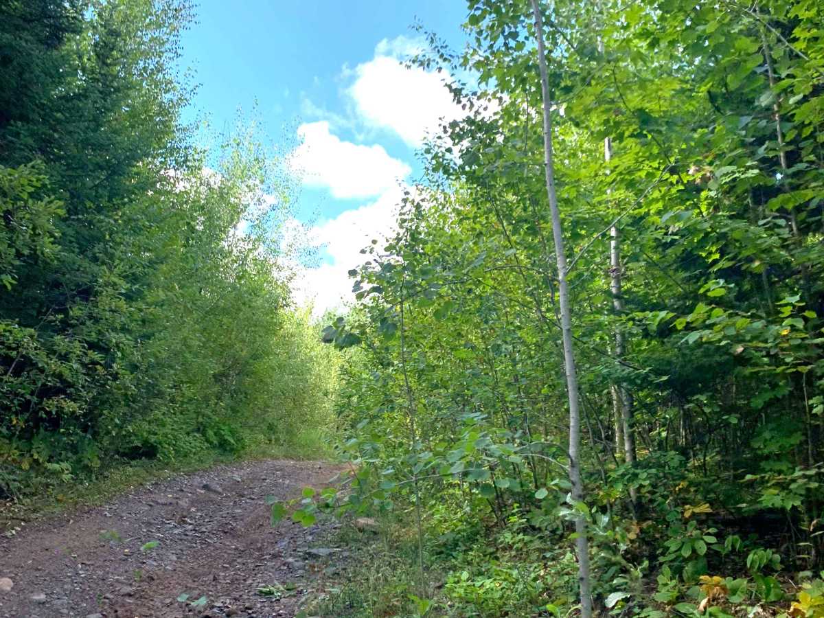 Berthiaume Trail photo 6