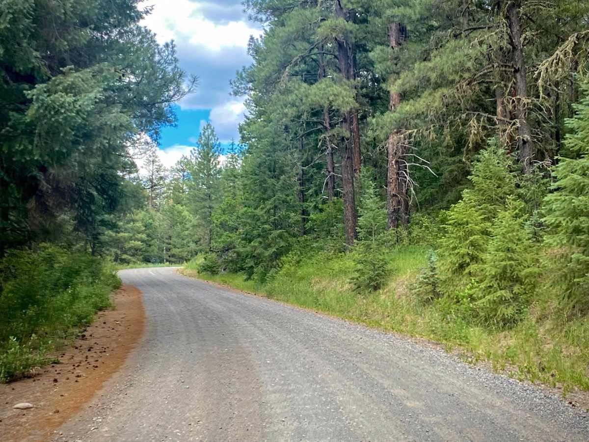 Blanco River Road-Fr Rd 656 trail photo