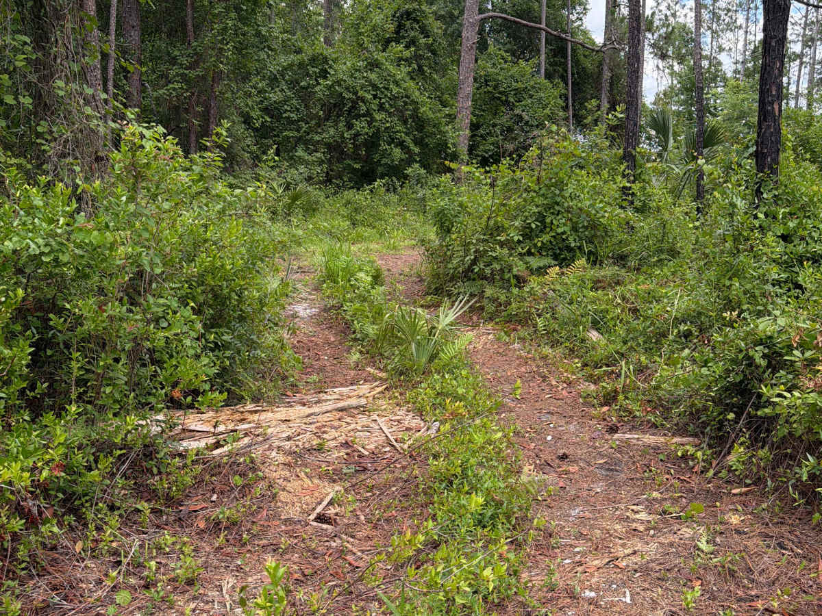 Sandy Drain Road photo 2