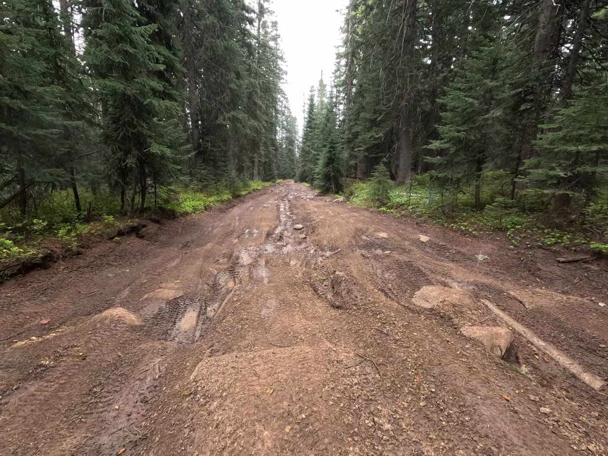 Mount Emily Road - FS 3120520 photo 3