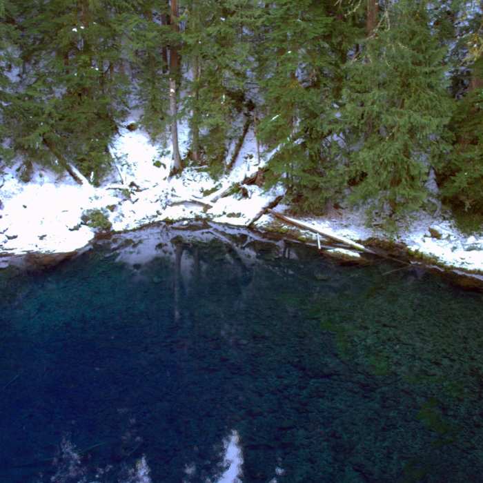 Near McKenzie River Trail: Trail Bridge to Tamolitch Pool