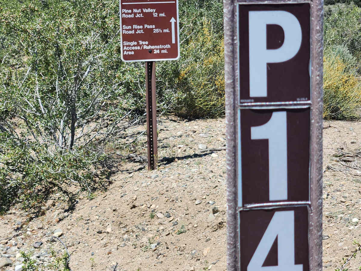 Pine Nut Valley Road - BLM P-14 trail photo