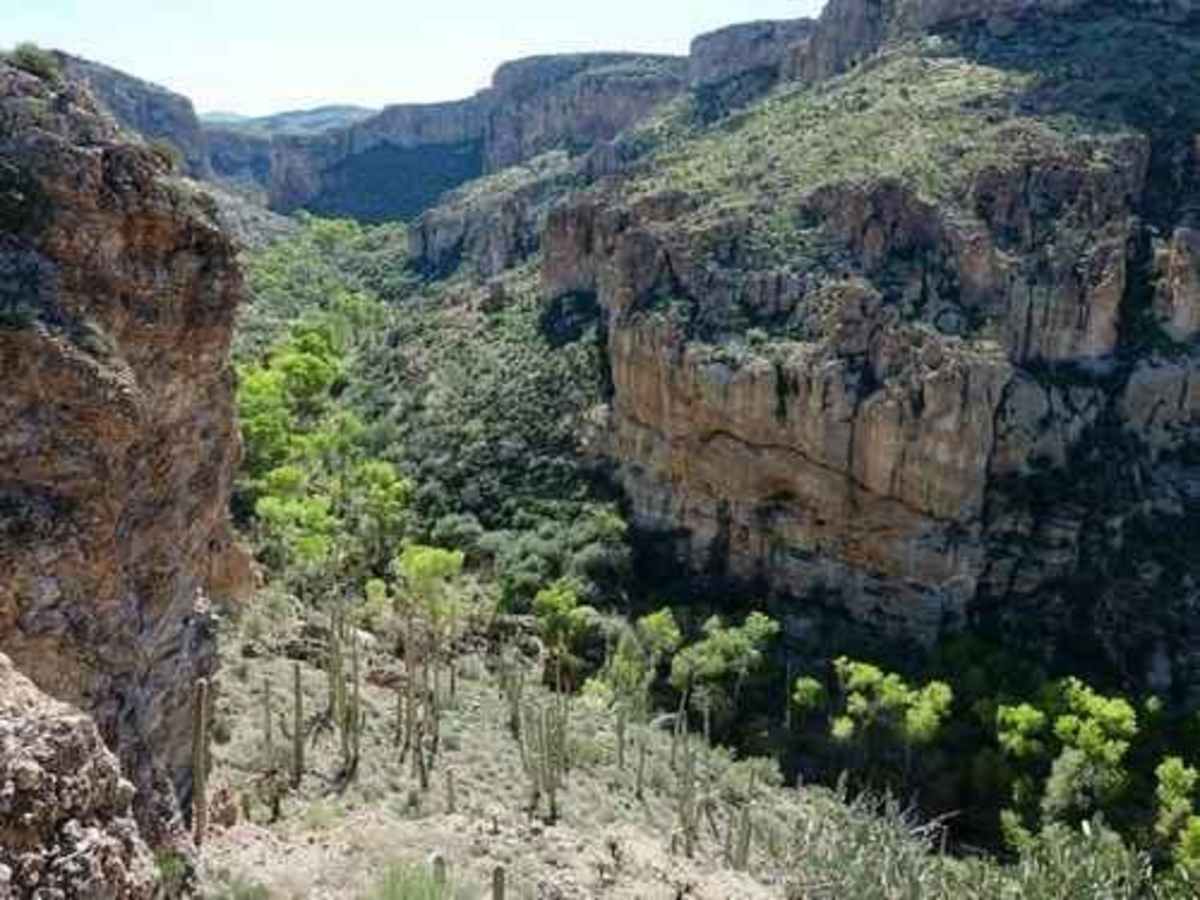 Wagon Tracks, Apache Tears, and Arnett Canyon photo 6