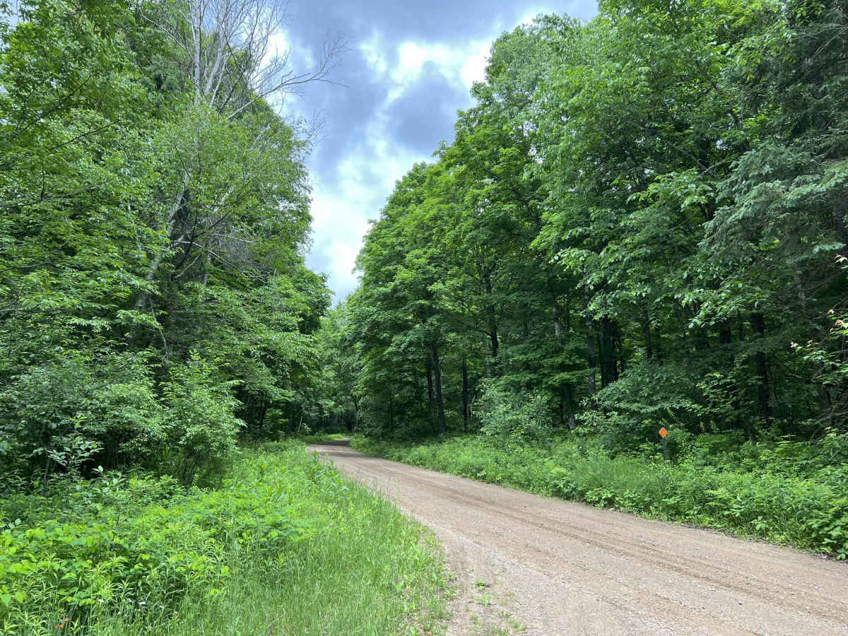 FS 2378 photo 3