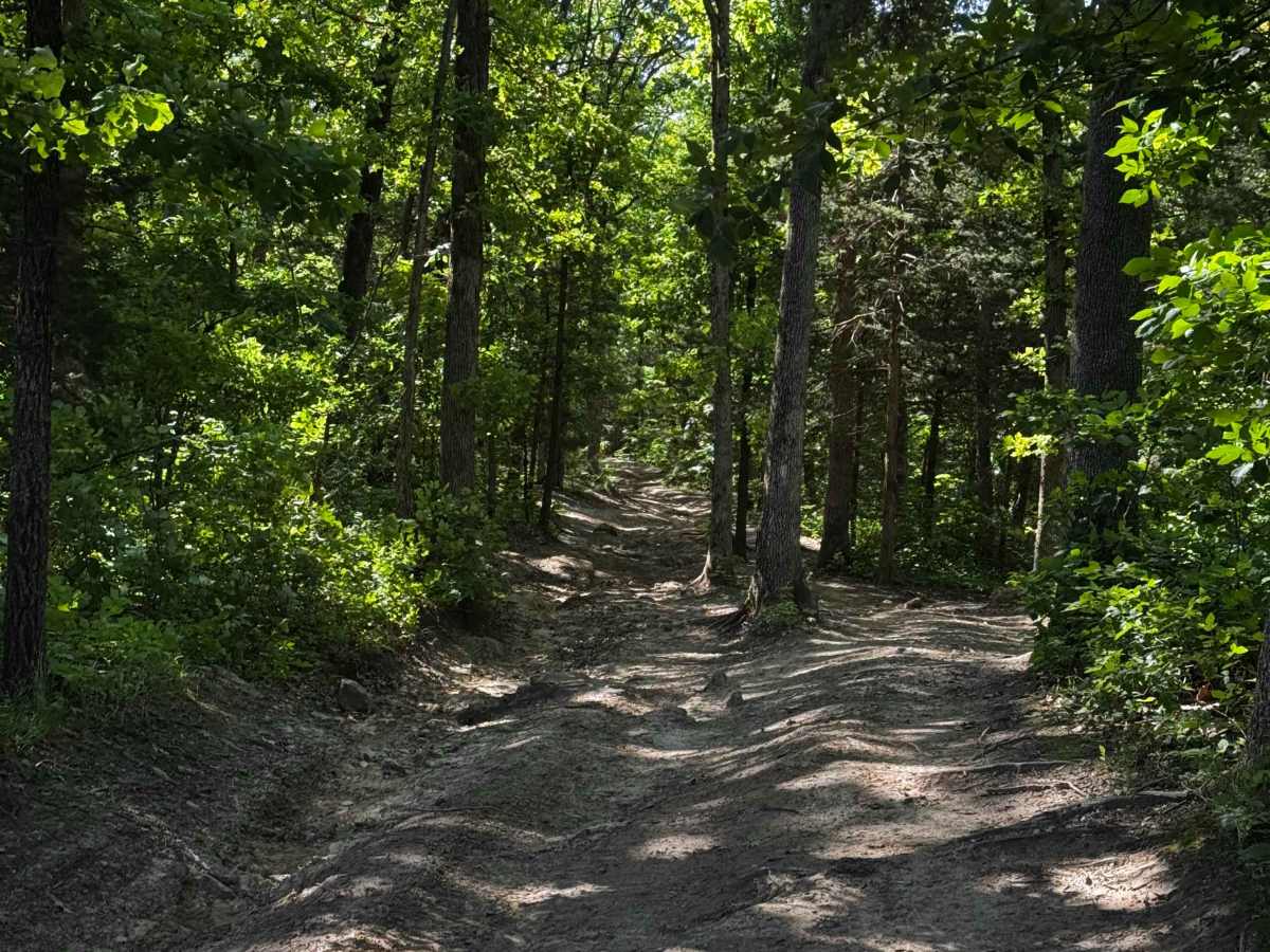 Inner Trail 11 photo 5
