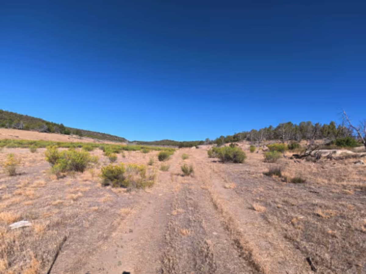 BLM 287A photo 6