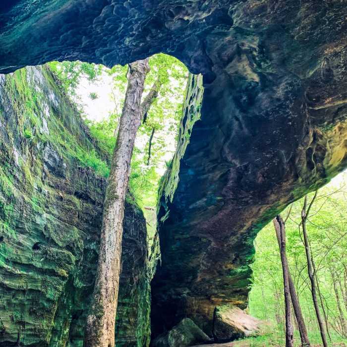 Near Mantle Rock Nature Preserve Near Mantle Rock Nature Preserve