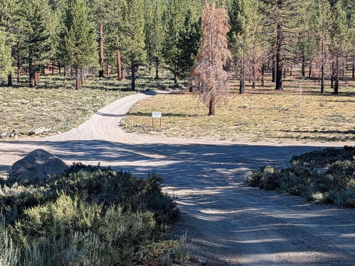 Hartley Springs -  FS 2S78 trail photo