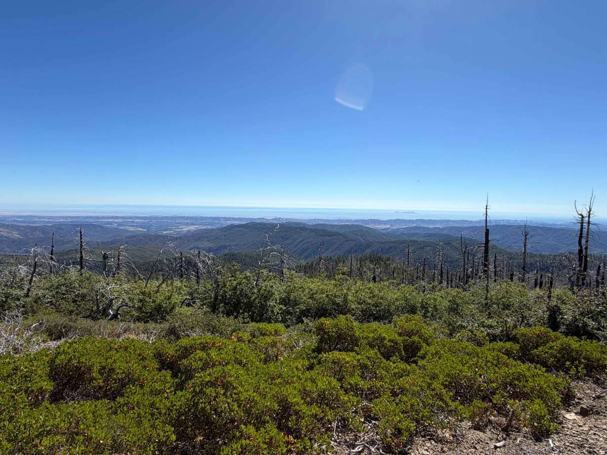 Board Camp Ridge - FS 17N10 trail photo