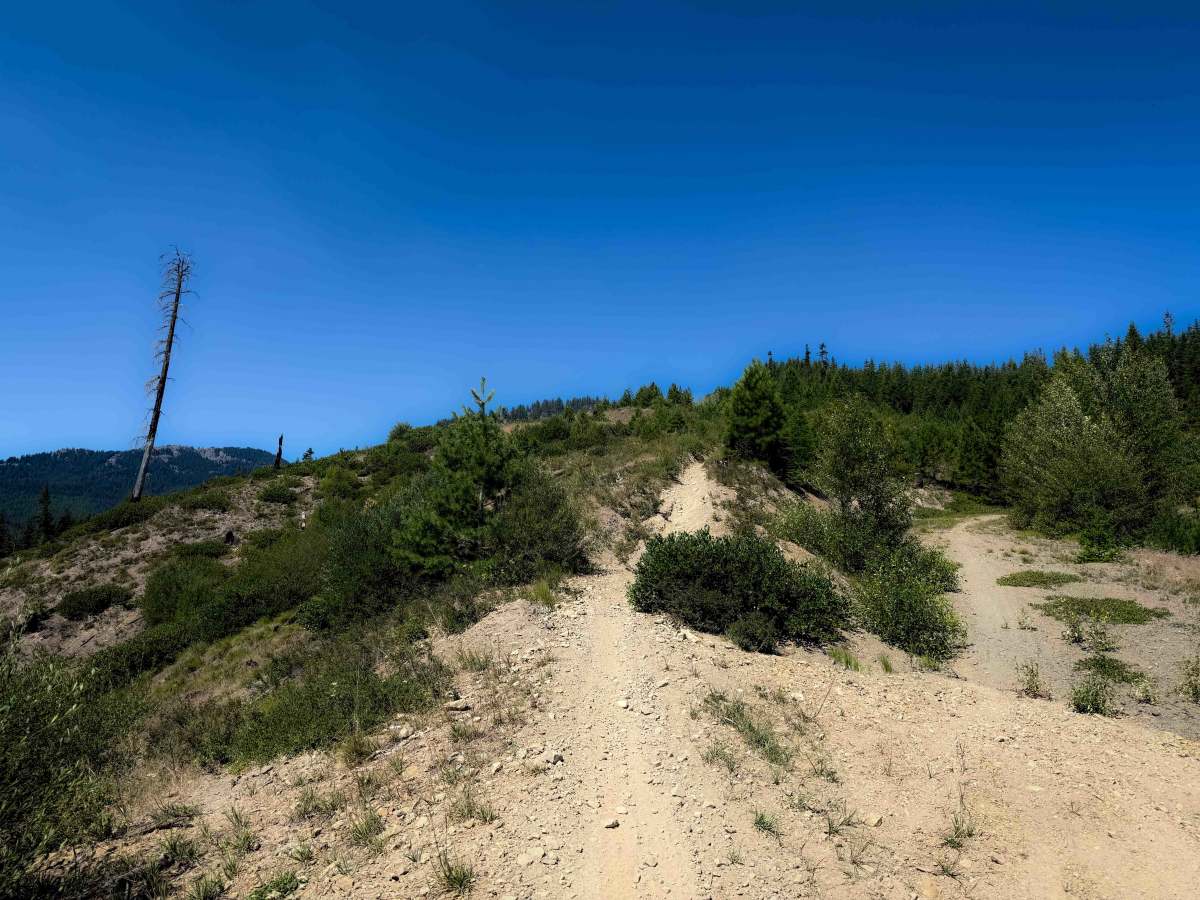 Lightning Point Trail 1377.1 photo 5