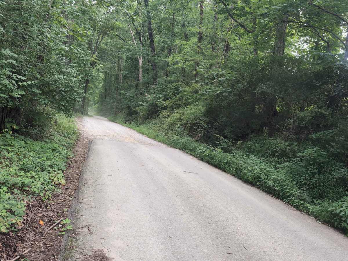 Turkey Foot Road - FS 4 photo 3