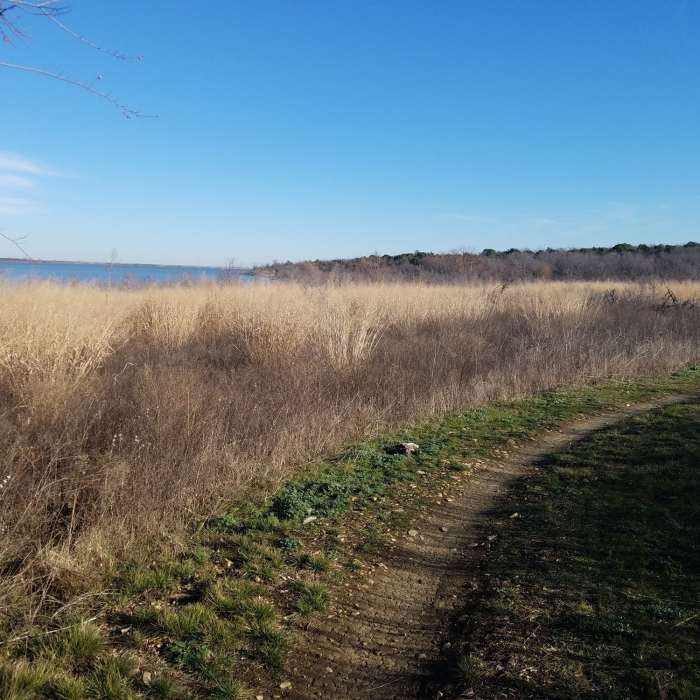 Enjoy this pleasant view as the trail nears the lake. Near Cedar Hill State Park Loop