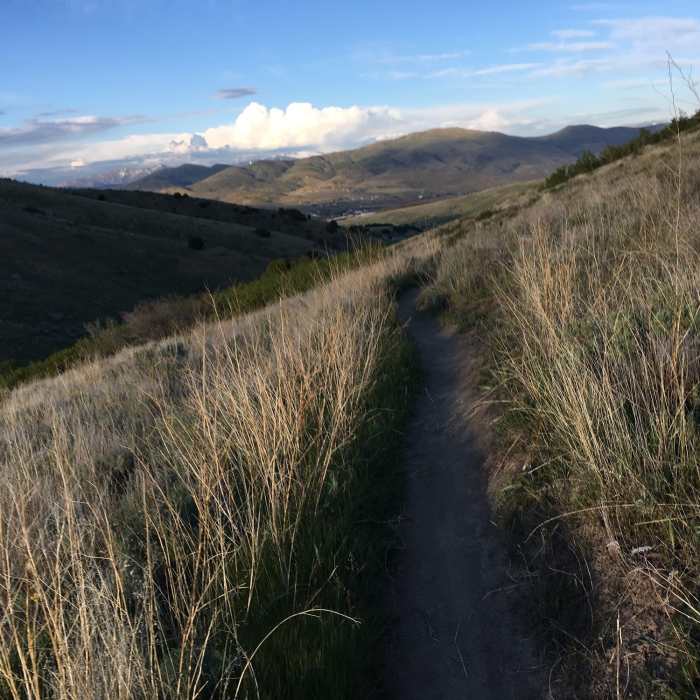 You can catch a glimpse of Pocatello down below along the pleasant Eagle trail. Near North Fork Road