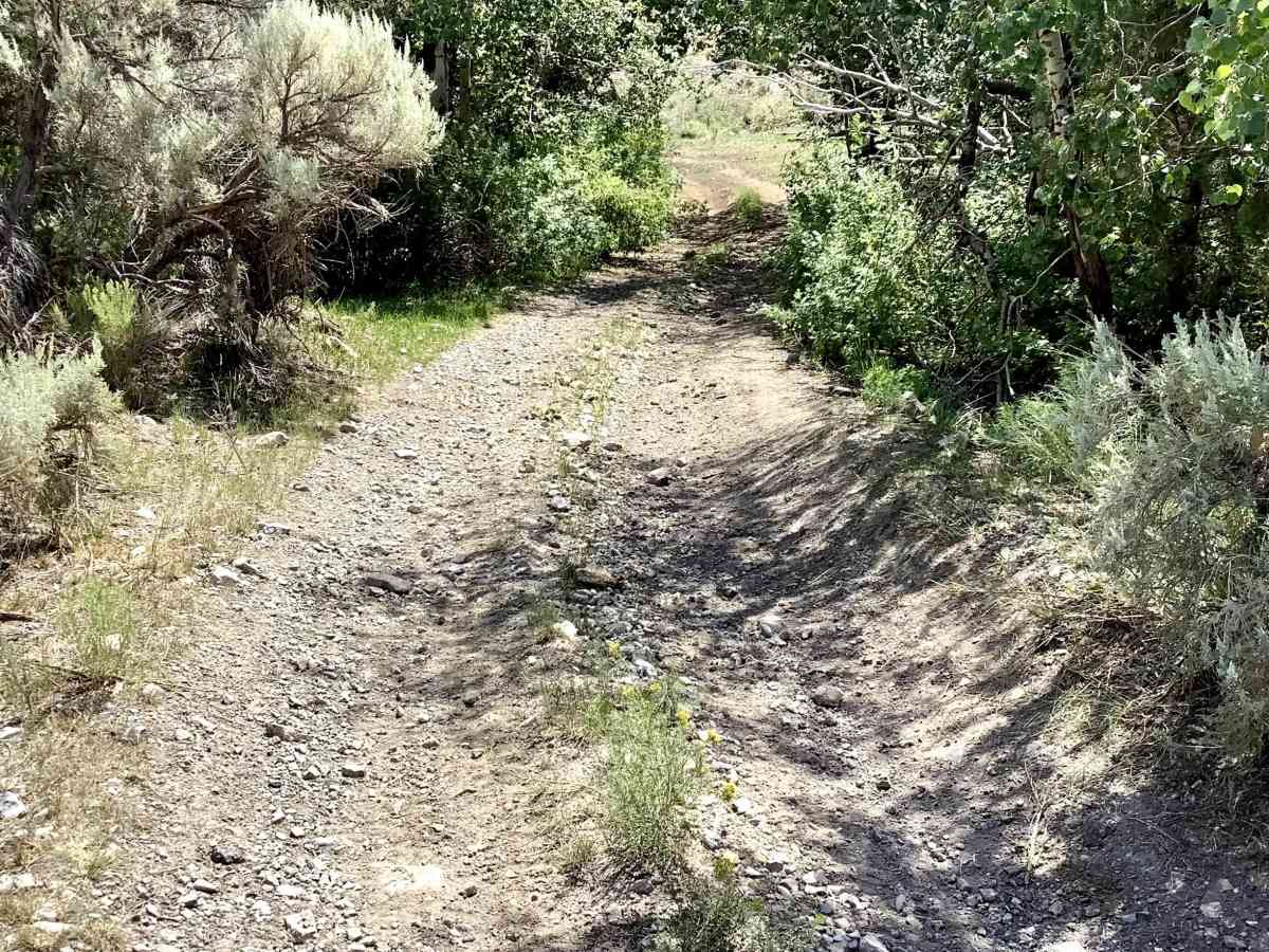 Deer Creek Trail photo 6